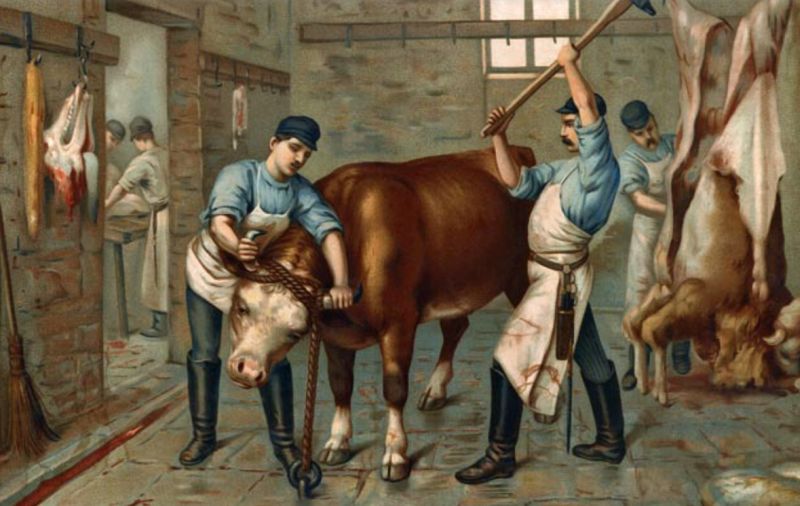 De negentiende-eeuwse vleeshouwer (slager) aan het werk. Gravure van onbekende kunstenaar.