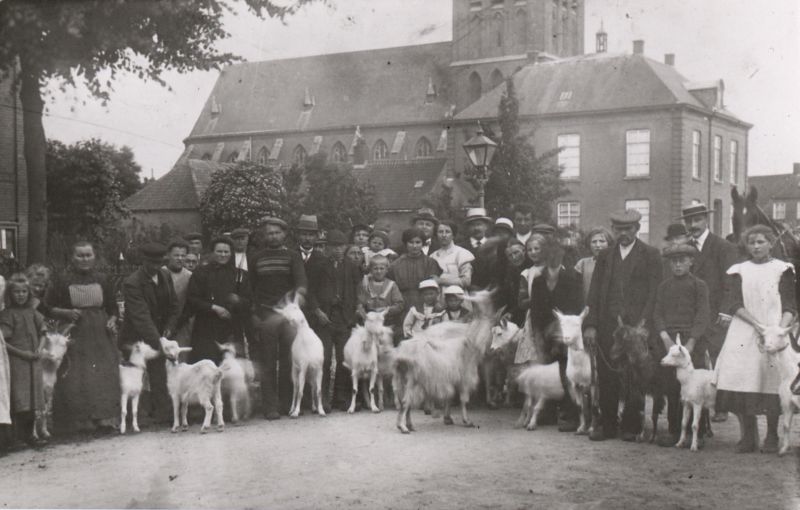 Bokkende geiten in Beugen, 1915