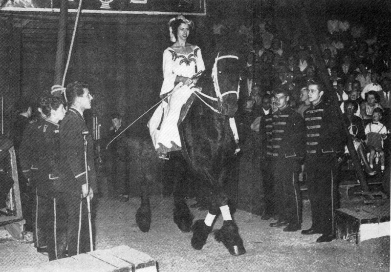 Ilonka Karoly betreedt de piste met het hogeschoolrijpaard Kohinoor en maakt entree in Circus van Bever, foto (jaar onbekend) uit archief Historische Vereniging Sliedrecht