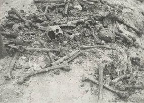 Etten-Leur, 1963: Opgegraven botten bij werkzaamheden ten behoeve van de nieuwe rijksweg. Foto: RAWB RAW014015032