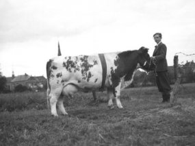 Boerdonk, 1948