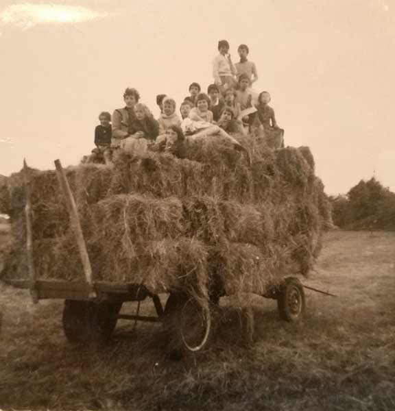 De laatste Haagse Kabouters op de boerderij, 1960