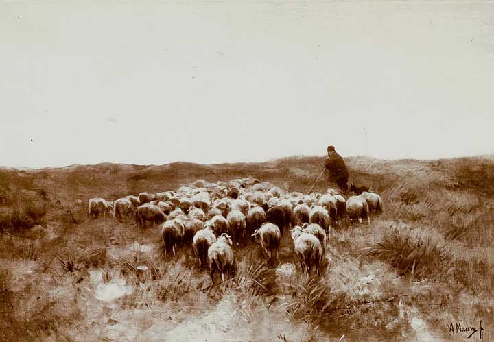 ‘Gaande schapen’, schilderij van Anton Mauve (1856-1894). Bron: Rijksbureau voor Kunsthistorische Documentatie