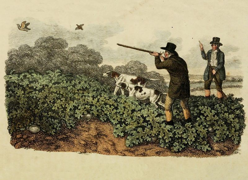 Patrijzenjacht (Partridge Shooting), illustratie uit Ackerman’s Repository (1809-1829)