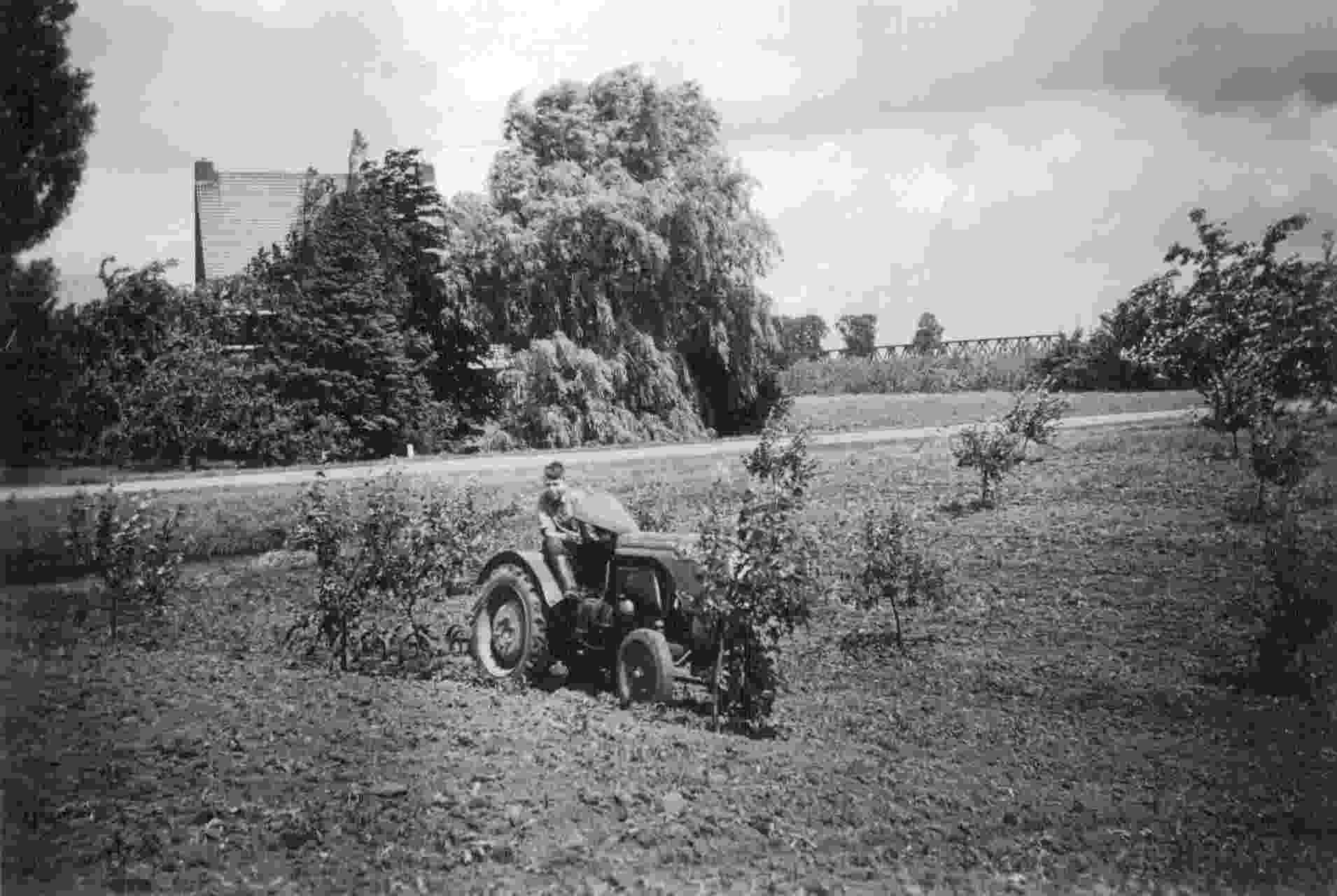 Kees junior met tractor in droge slotgracht 1958
