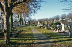 dit pad op het kerkhof loopt ongeveer op de plek waar je vroeger door het middenschip naar het altaar liep