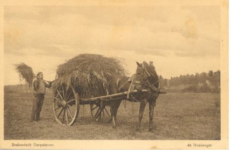 Een boer laadt hooi op de wagen (uitgever: J.H. Schaefer's, bron: RHCe)