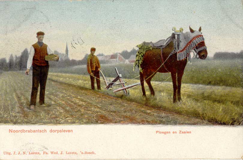 Brabant village life: Plowing and sowing farmers, Sint-Michielsgestel, 1906 (photographer: Herman de Ruiter. Publisher: Fa. Wed. J. Lorentz. See also:Brabants Dorpsleven)